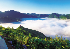 丰都太平坝乡：乡村旅游催生乡村经济新业态