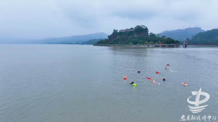 游泳爱好者向着石宝寨游去。记者 张圳阳 摄