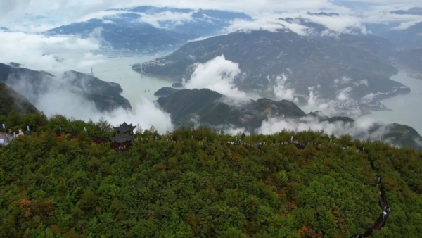 烟雨三峡之巅，诗意如约而至。奉节县委宣传部供图